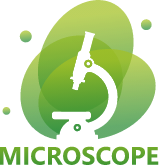 Group 1653 Group 1653